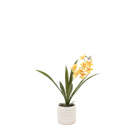 Orchid Orange in White Ceramic Dot Pot 400mm