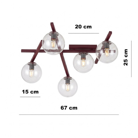 SMART 5 BURGUNDY TRANSPARENT