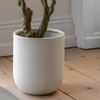 Faux Olive Tree in White Pot 1900mm