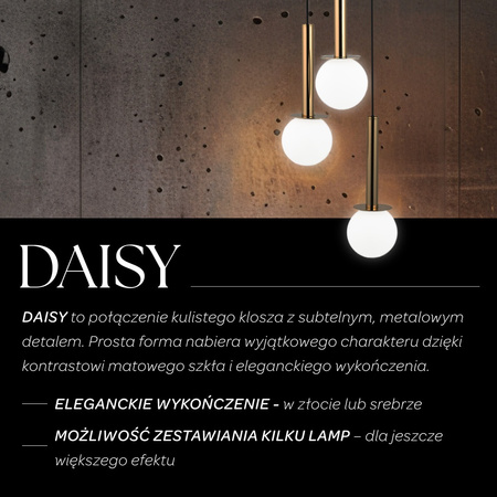 DAISY 3 złoty/transparentny