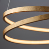 Scribble Pendant Light