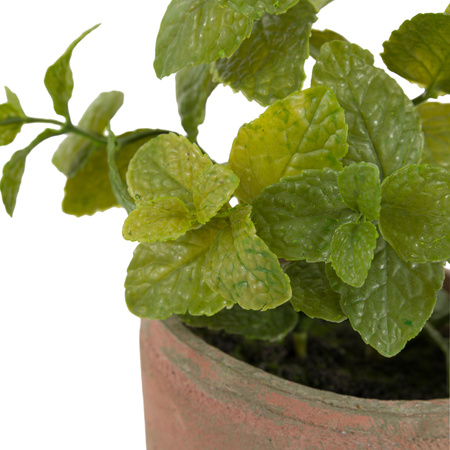 Potted Mint Terracotta 180x180x230mm