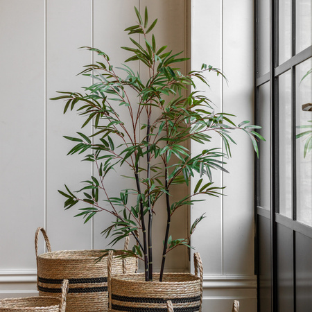 Potted Bamboo Tree 4ft