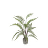 Tall Fern in Textured Grey Ceramic Pot