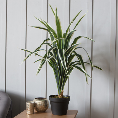 Faux Dracaena 800mm